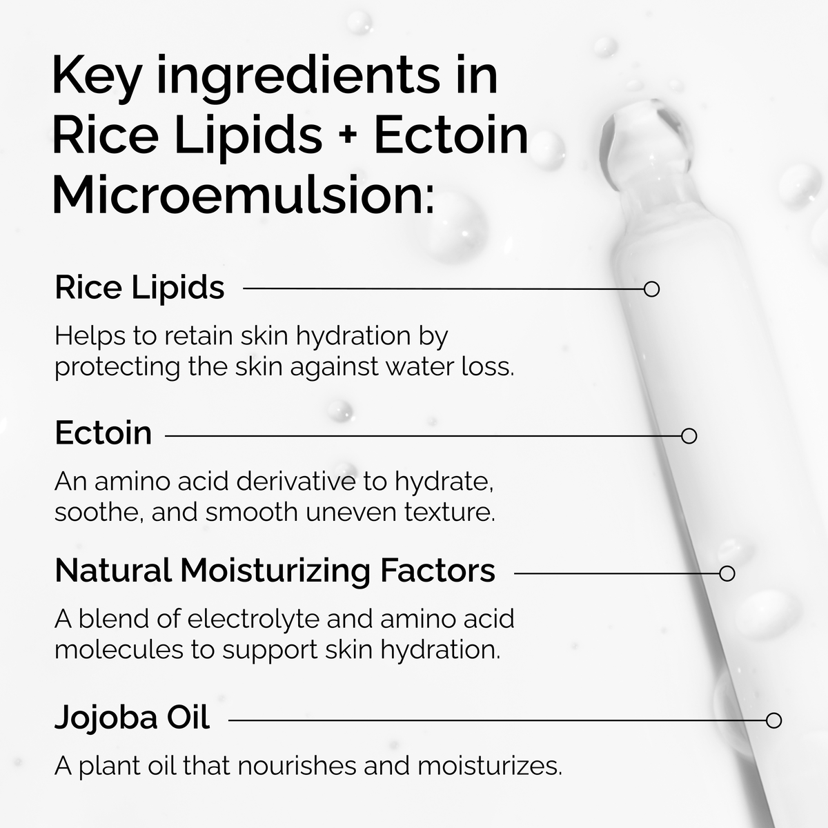 Rice Lipids + Ectoin Lightweight Moisturizer