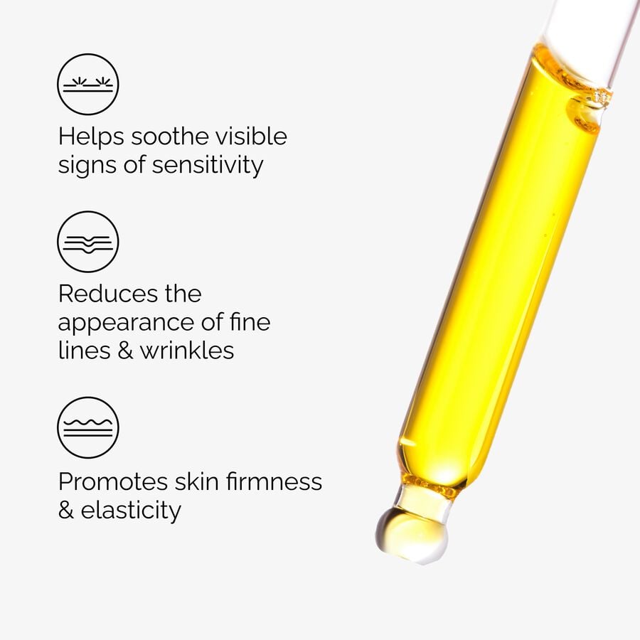 Fermented Rose Hip Seed Oil 100% Plant-Derived