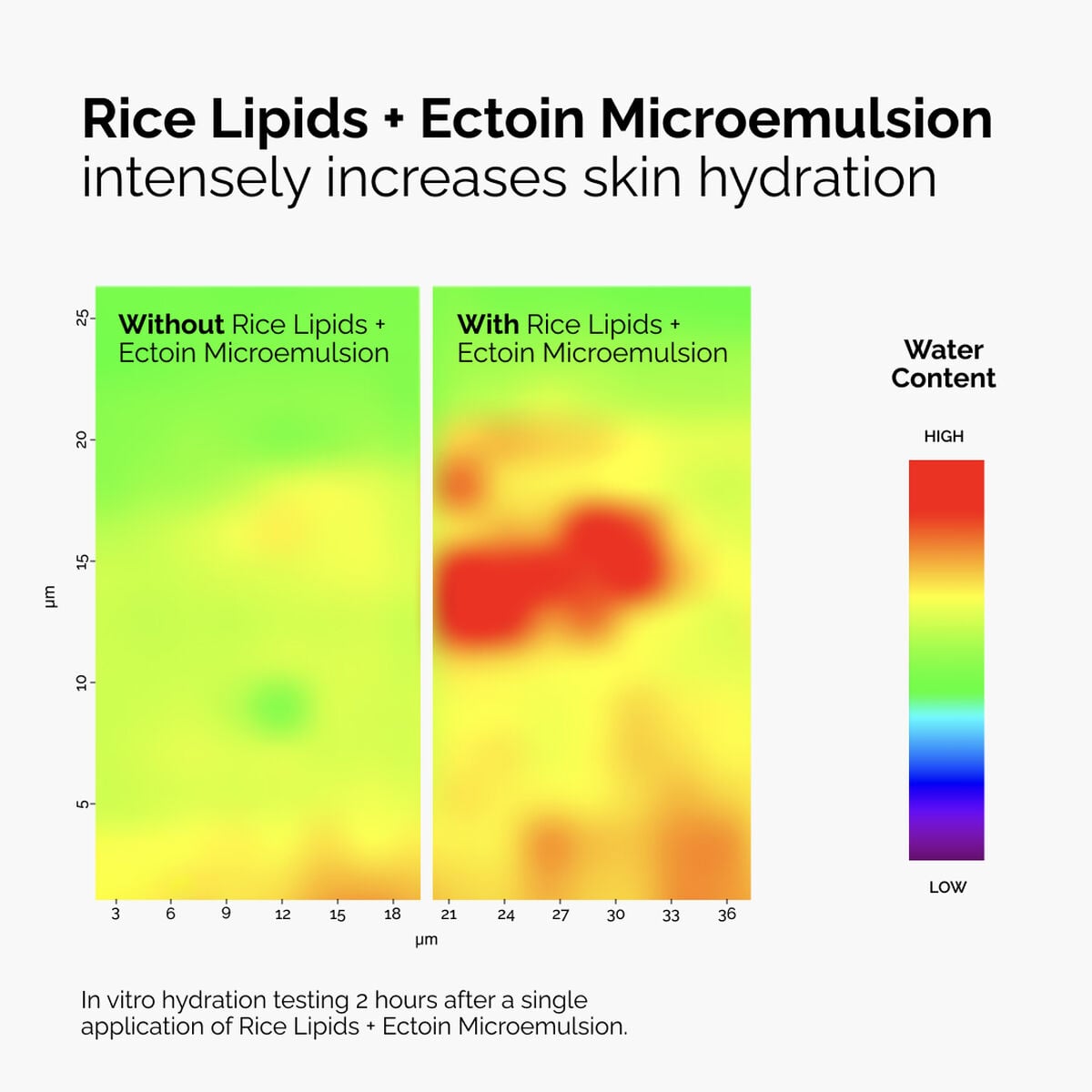 Rice Lipids + Ectoin Lightweight Moisturizer