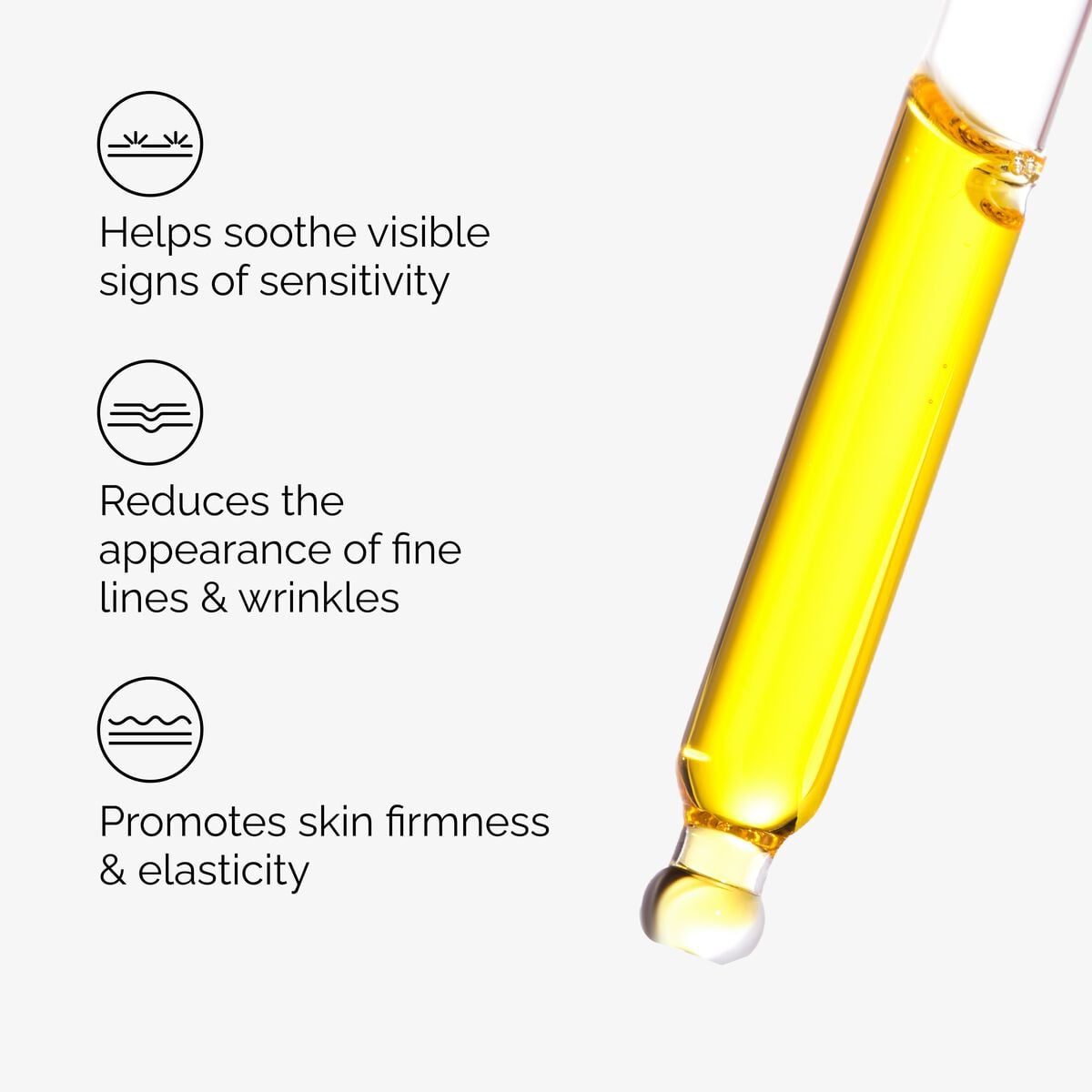 Fermented Rose Hip Seed Oil 100% Plant-Derived